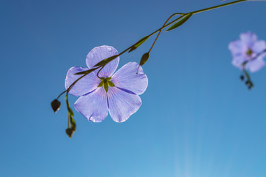 Similar image 21121052