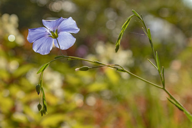 Similar image 21121053