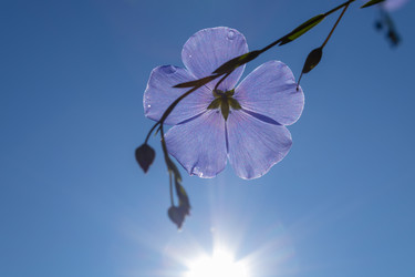 Similar image 21121054