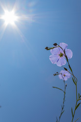 Similar image 21121056