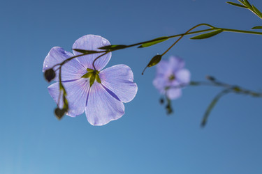 Similar image 21121057