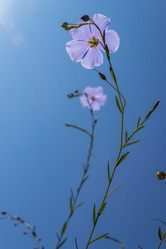 Similar image 21121058