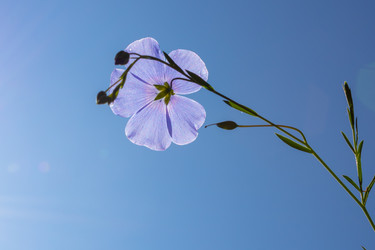 Similar image 21121059