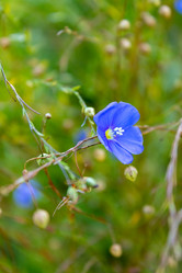 Similar image 21121061