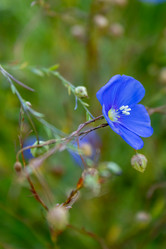 Similar image 21121063