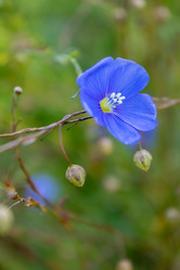 Similar image 21121064