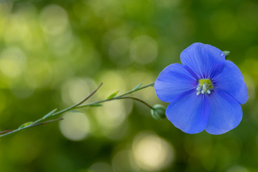 Similar image 21121066