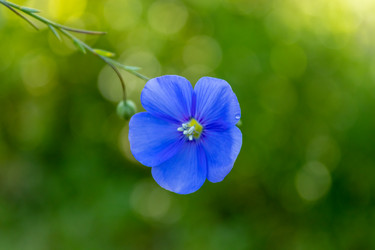 Similar image 21121067