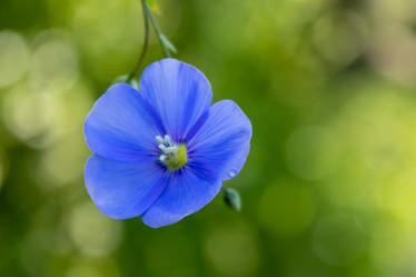 Similar image 21121068