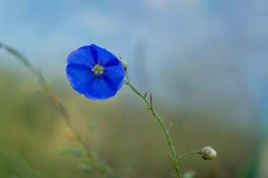 Similar image 21121069