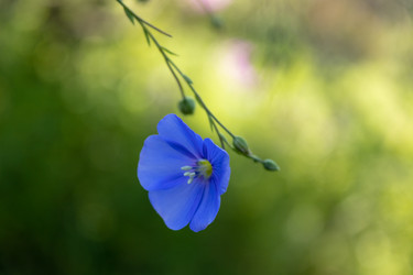 Similar image 21121070