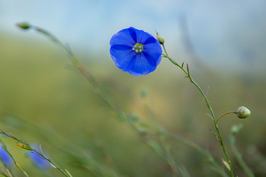 Similar image 21121071