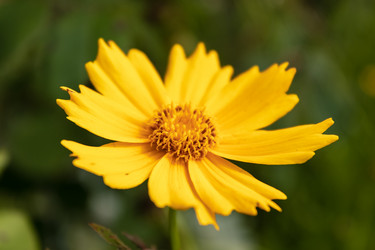 Similar image 21121073