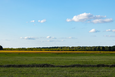 Similar image 21121074