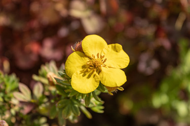 Similar image 21121076