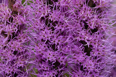 Similar image 21121077