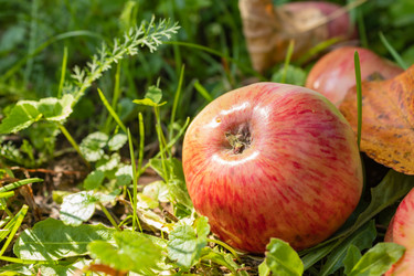 Similar image 21121081