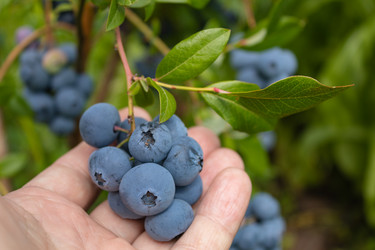 Similar image 21121084