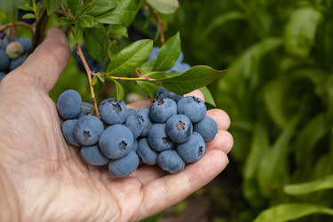 Similar image 21121085