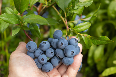 Similar image 21121086