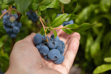 Similar image 21121087