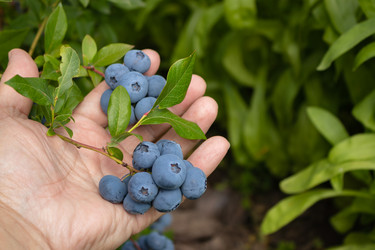 Similar image 21121088