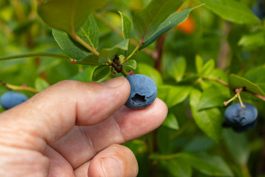 Similar image 21121089