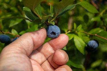 Similar image 21121092