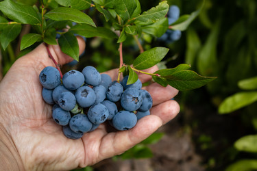 Similar image 21121093