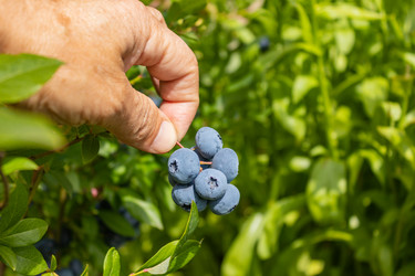 Similar image 21117317