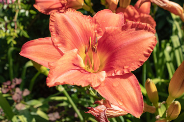 Similar image 21117320