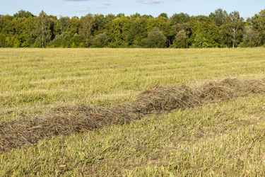 Similar image 21117321