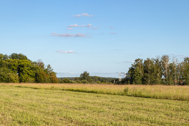 Similar image 21117322