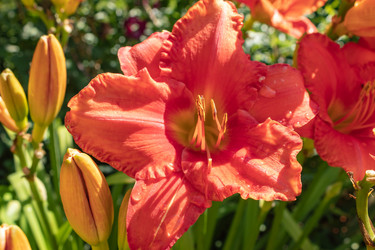 Similar image 21117323