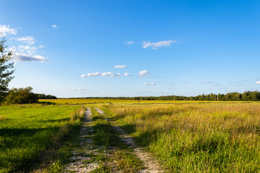 Similar image 21117324