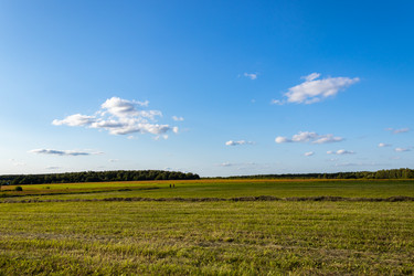 Similar image 21117325