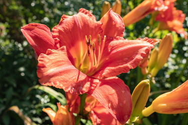 Similar image 21117326