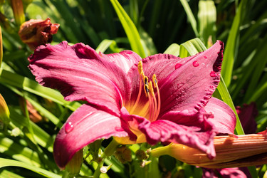 Similar image 21117327