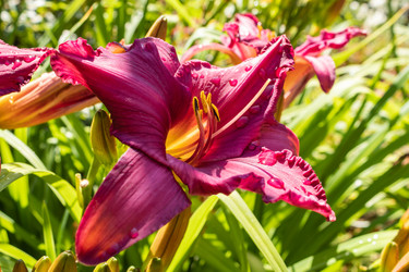 Similar image 21117328