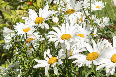 Similar image 21117329