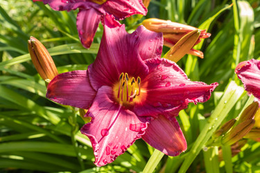 Similar image 21117330