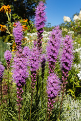 Similar image 21117331