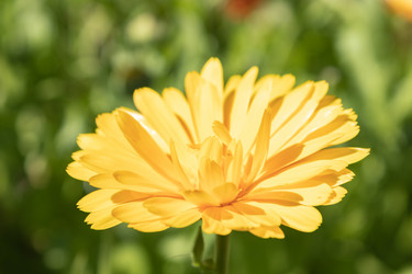 Similar image 21117333