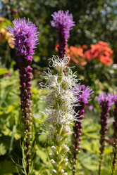 Similar image 21117335