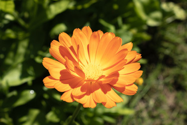 Similar image 21117336