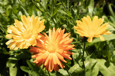 Similar image 21117337