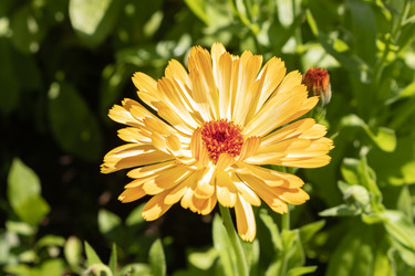 Similar image 21117339