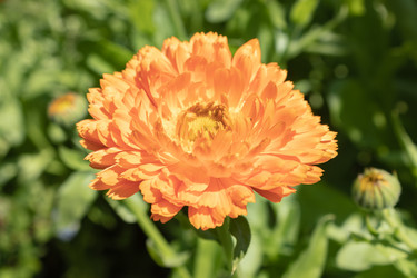 Similar image 21117340