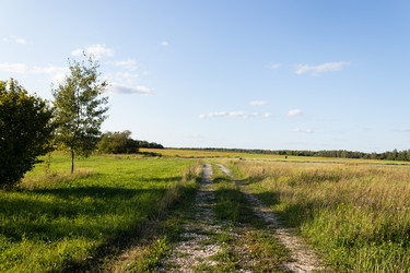 Similar image 21117341