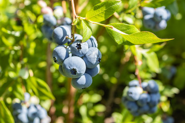 Similar image 21117342